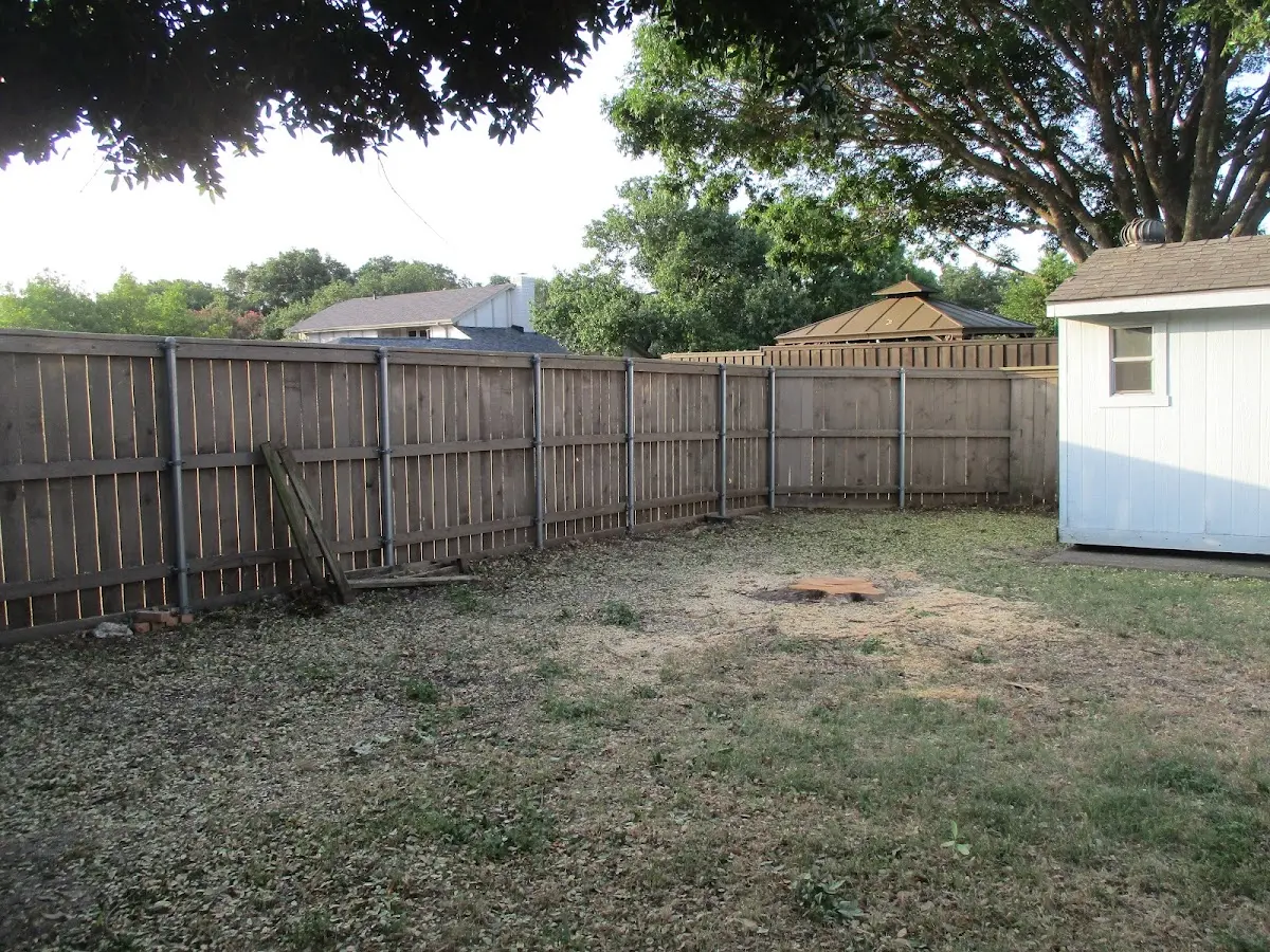 Cleared yard after professional tree removal in Boulder Junction